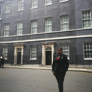 Proyecto colaborativo 01